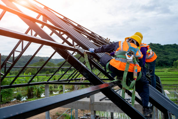 Best Roof Gutter Cleaning  in Burney, CA