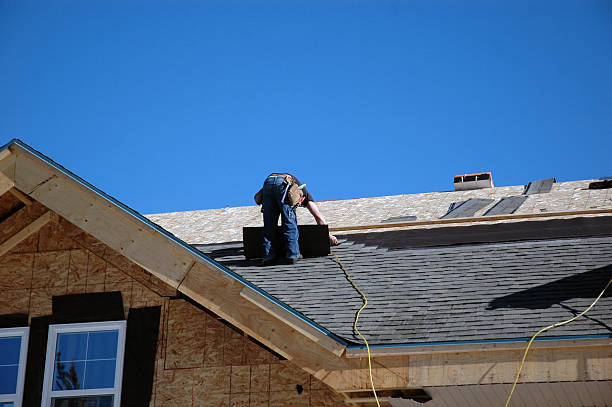 Best Roof Gutter Cleaning  in Burney, CA