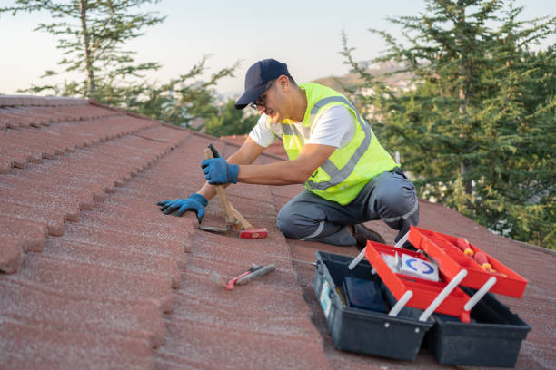 Best Roof Leak Repair  in Burney, CA