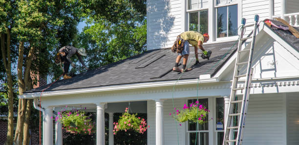 Roof Gutter Cleaning in Burney, CA